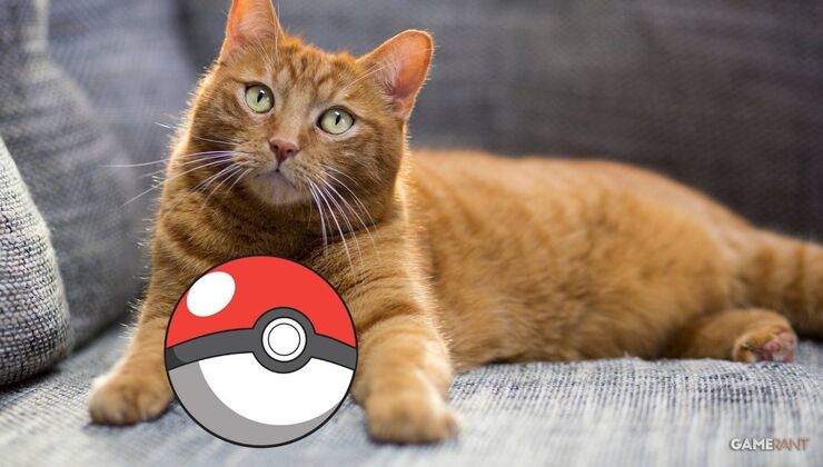 New Free Game is Like Pokemon GO, But With Real Cats