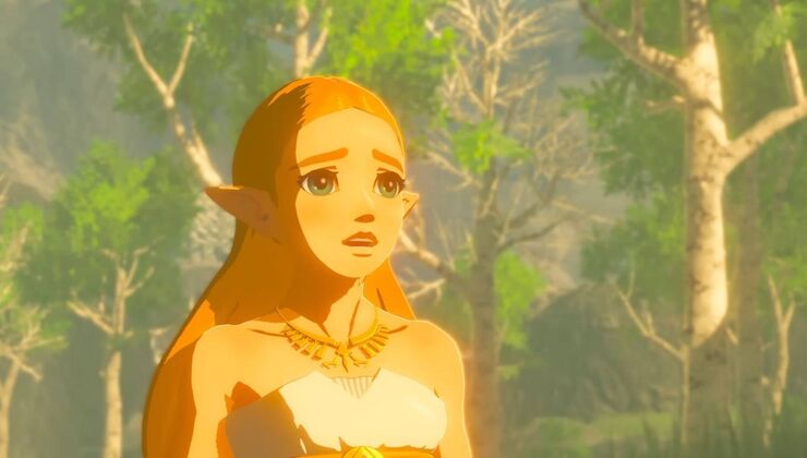 The Legend Of Zelda Is Officially Returning To The Wilds Era For One Final Game