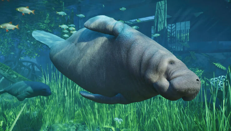 A Week After Launch, Planet Zoo 2 Deemed “Completely Unplayable”