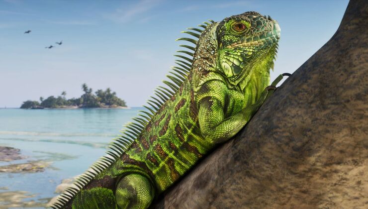 Rockstar Officially Reveals Over 170 Animal Species for GTA 6