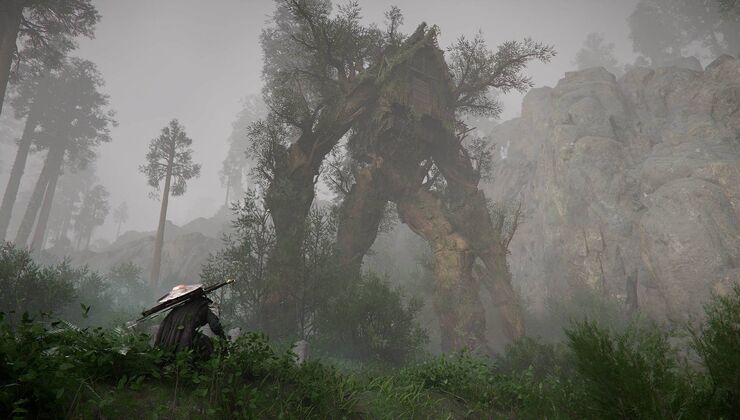 Crimson Desert Studio Promises Continued Support As Long As There's Demand