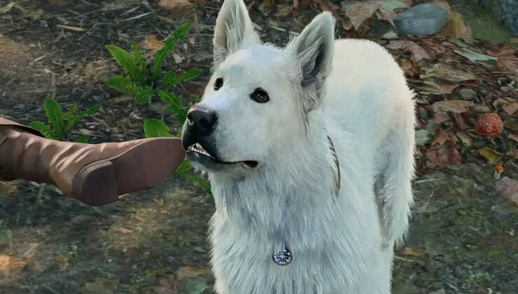 A Baldur's Gate 3 Fan Has Used Sussur Blooms To Turn Scratch Into An Antimagic Field