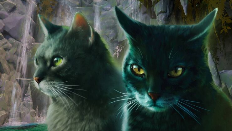 New Multiplayer Warrior Cats Game Is Out Now