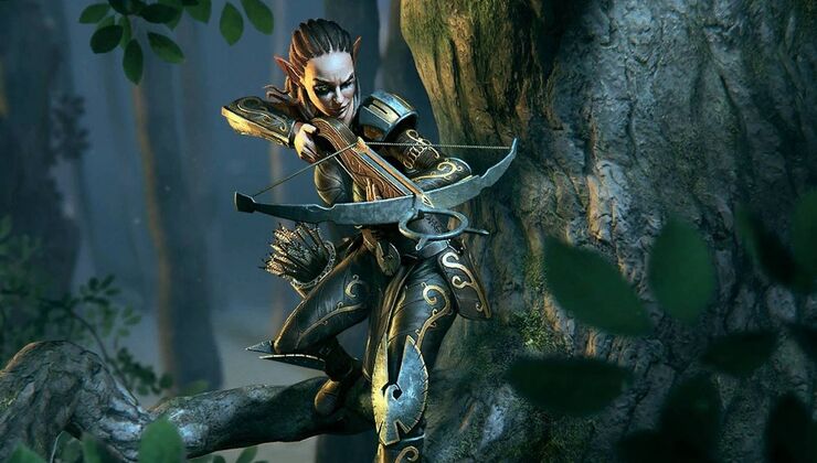 The Elder Scrolls: Valenwood Officially Announced
