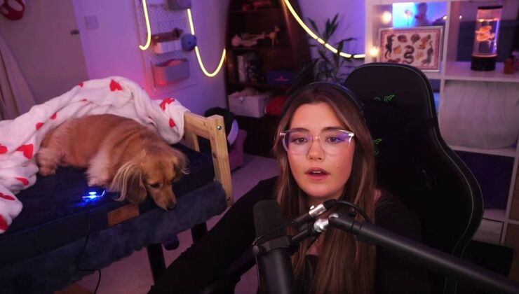 Streamer Teacher Her Dog To Heal Players In Marvel Rivals