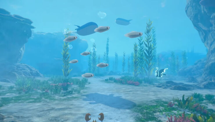 Pokémon Winds & Waves Opening Leaks, Reveals New Region Map Size