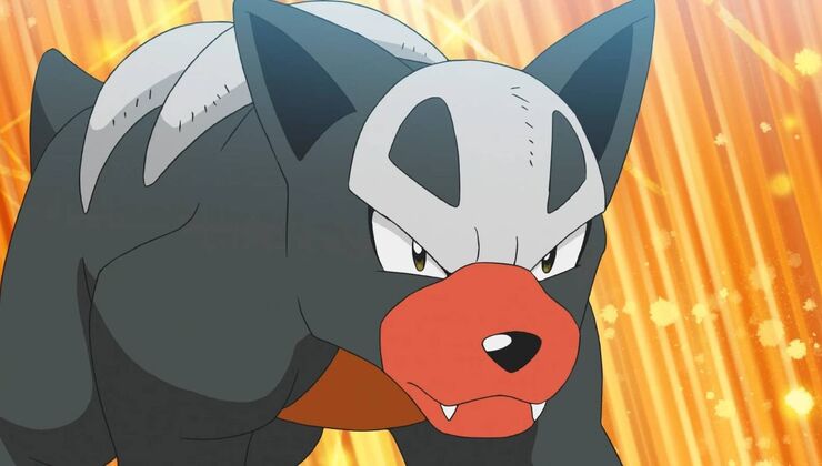 Pokémon Winds & Waves New Houndour Evolution Is A Hit With Fans