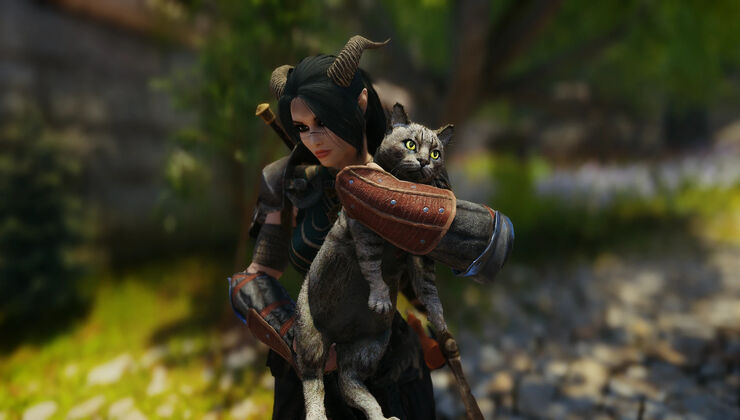 You Can Now Beat Skyrim While Carrying A Cat