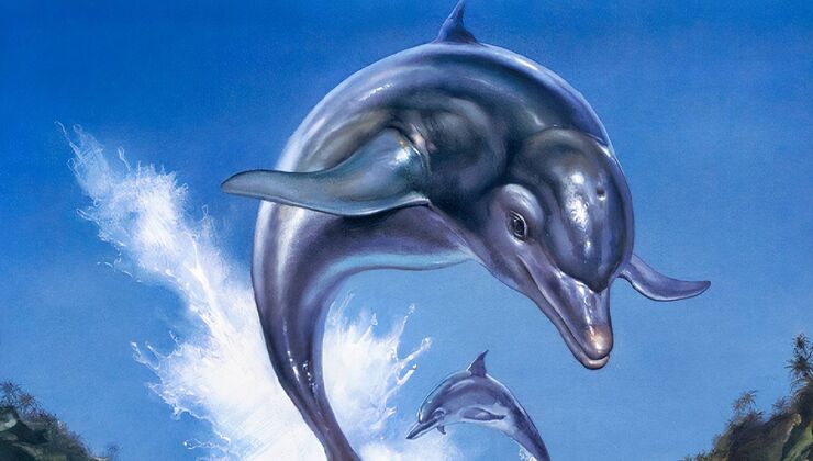Ecco The Dolphin: Complete Includes The First New Game In 26 Years