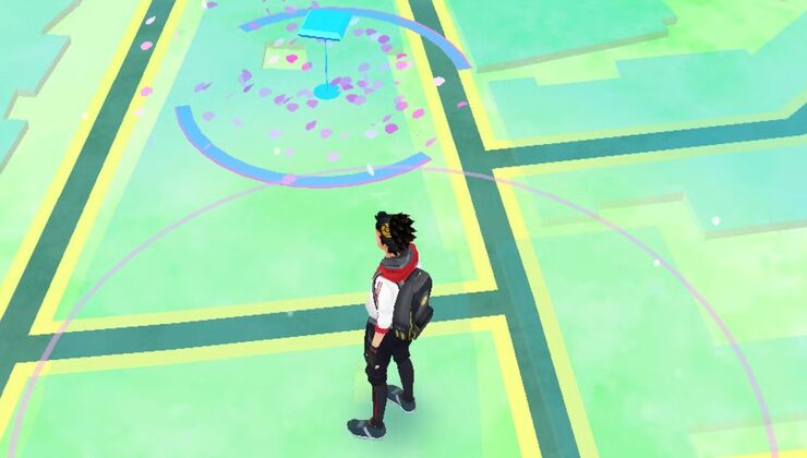 Pokemon GO Player Gets Their House Approved as a PokeStop