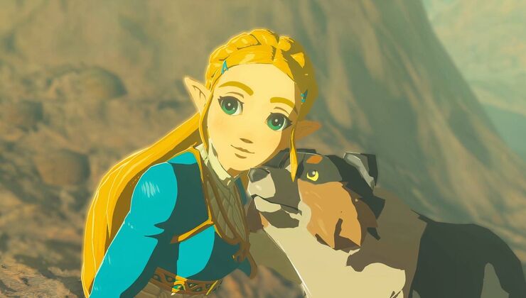 Zelda: Breath Of The Wild Official Expansion Praised By Gamers