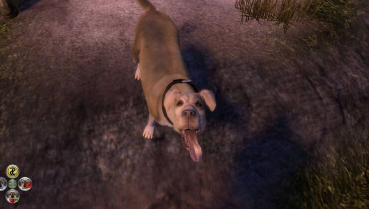 Sadly, There Will Not Be A Dog Companion In The New Fable