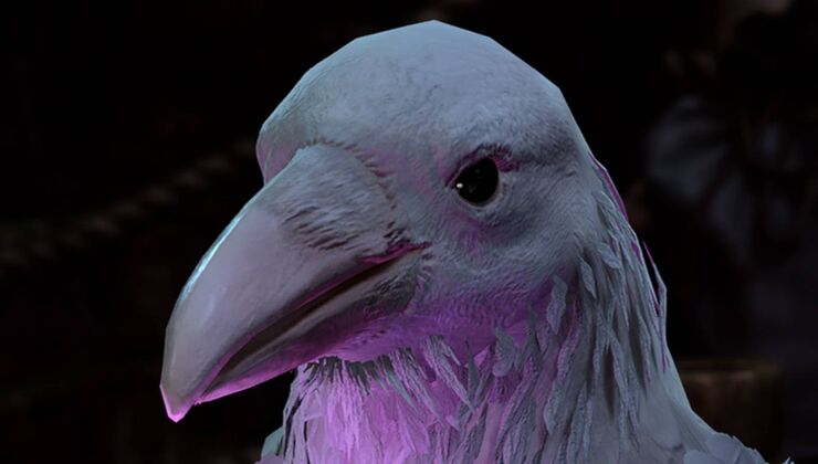 Baldur's Gate 3 Console Players Just Got 'Otherworldly' Subclasses, New Weapons And An Upgraded Raven Companion