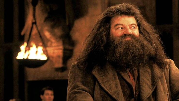 Official New Harry Potter RPG Is Already A Smash-Hit