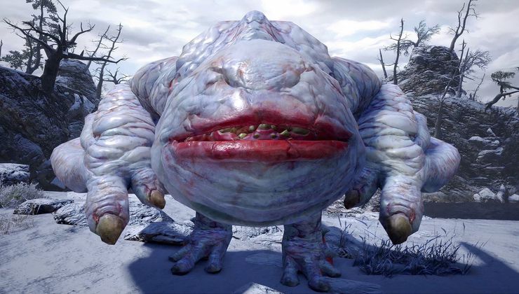 A Newly Discovered Spider Has Been Named After A Monster Hunter Enemy
