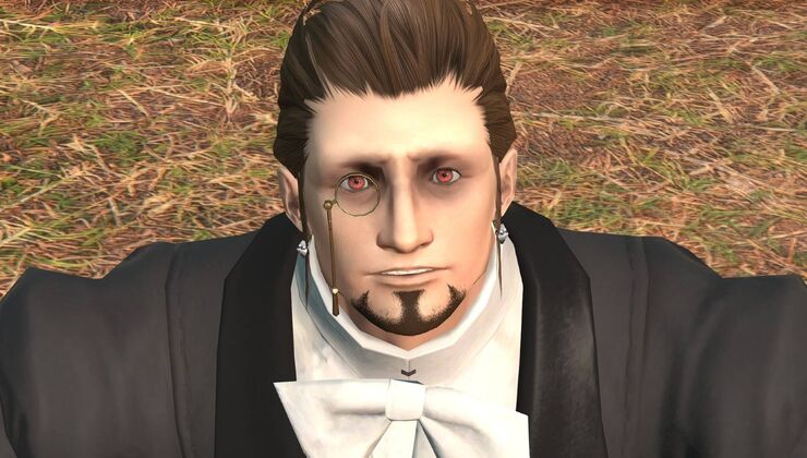 Final Fantasy 14 Will Have The Largest Install Size On Nintendo Switch 2
