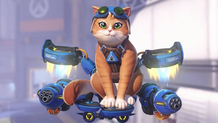 Overwatch Is Now Embracing "Oddball Characters" Again, And It's Because Of Jetpack Cat
