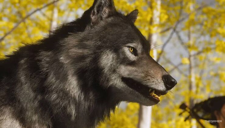 Ghost Of Yotei’s Wolf-Petting Sequence Was Produced By Having Atsu's Actor Pet A Dev