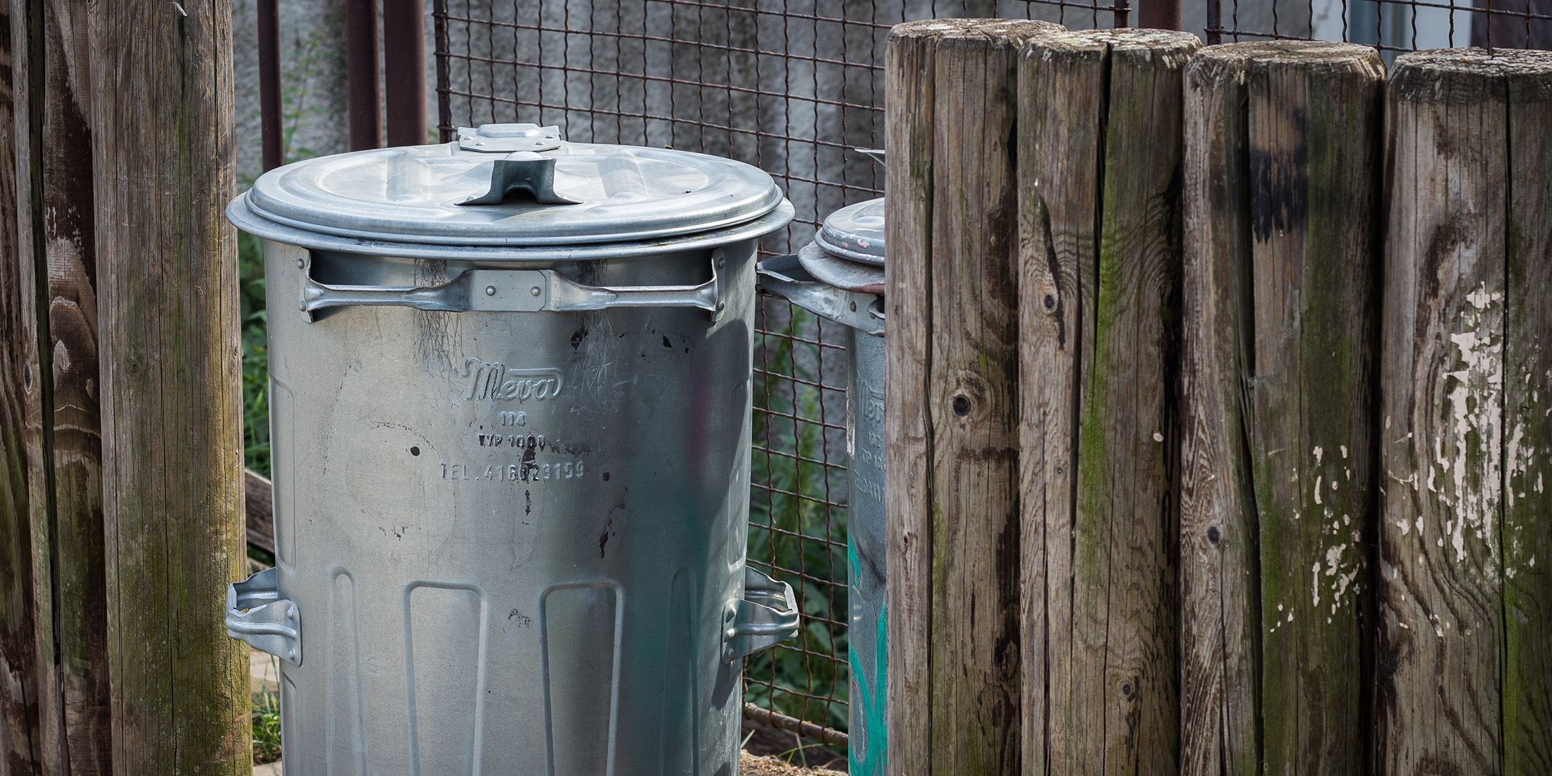 Gamer Saves Huge Collection of Video Games From Being Sent to the Dump