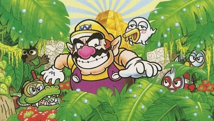 The Leaker Who Told Us About Spyro And Rayman's New Games Claims Wario Is Up Next