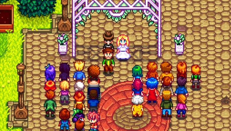Stardew Valley Creator Reveals The New Marriage Candidates For 1.7 Update