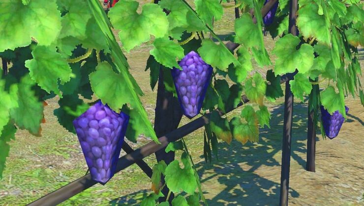 Pokemon Legends: Z-A's Low-Poly Vineyards Are Being Compared To Final Fantasy 14