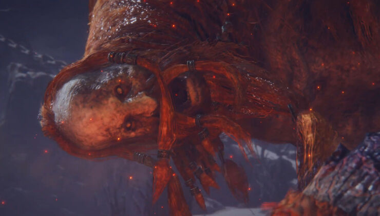 In A World First, Somebody Just Beat One Of Elden Ring’s Toughest Bosses At Level 1, Using Only Bare Fists, Taking Over Seven Hours