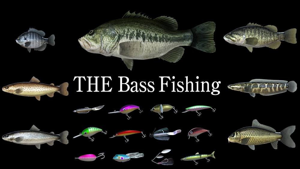 THE Bass Fishing OpenCritic