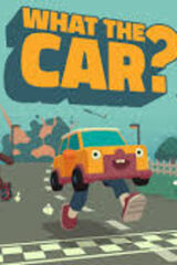 WHAT THE CAR?