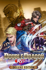Double Dragon Revive