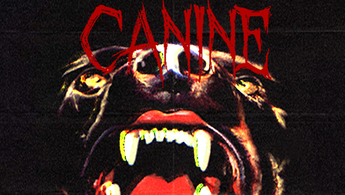 Canine header image