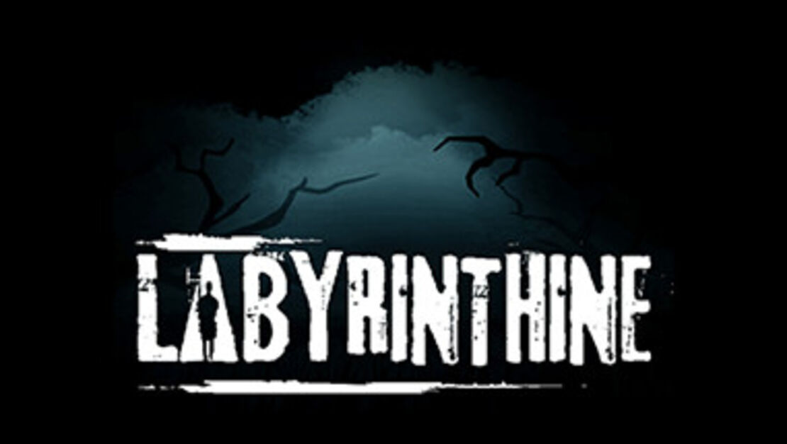 Labyrinthine header image
