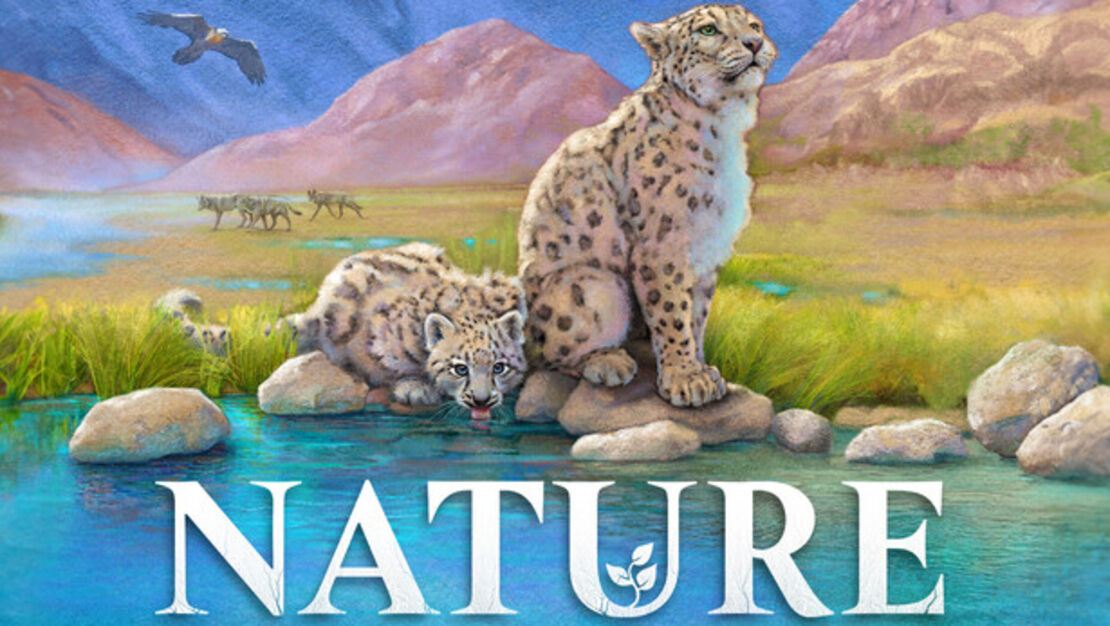 Nature header image