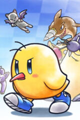 The New Zealand Story: Untold Adventure