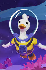Duck Side of the Moon