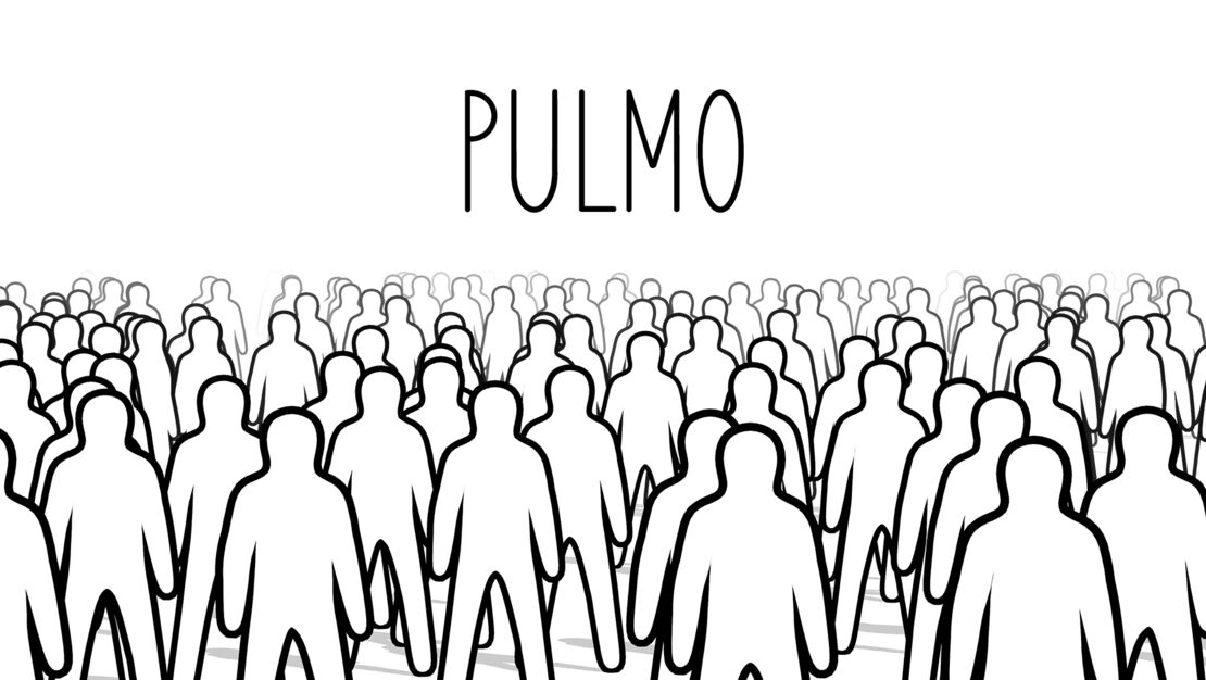 Pulmo header image