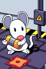 Rat Protocol