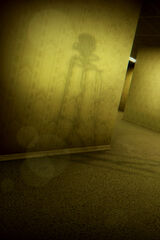 Escape the Backrooms