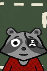 Raccoon Packer