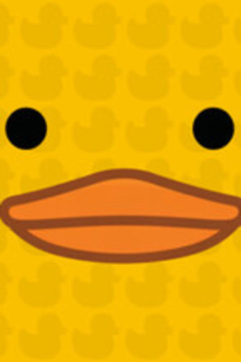 Sort Them Ducks