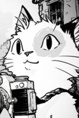 Cat Me If You Can