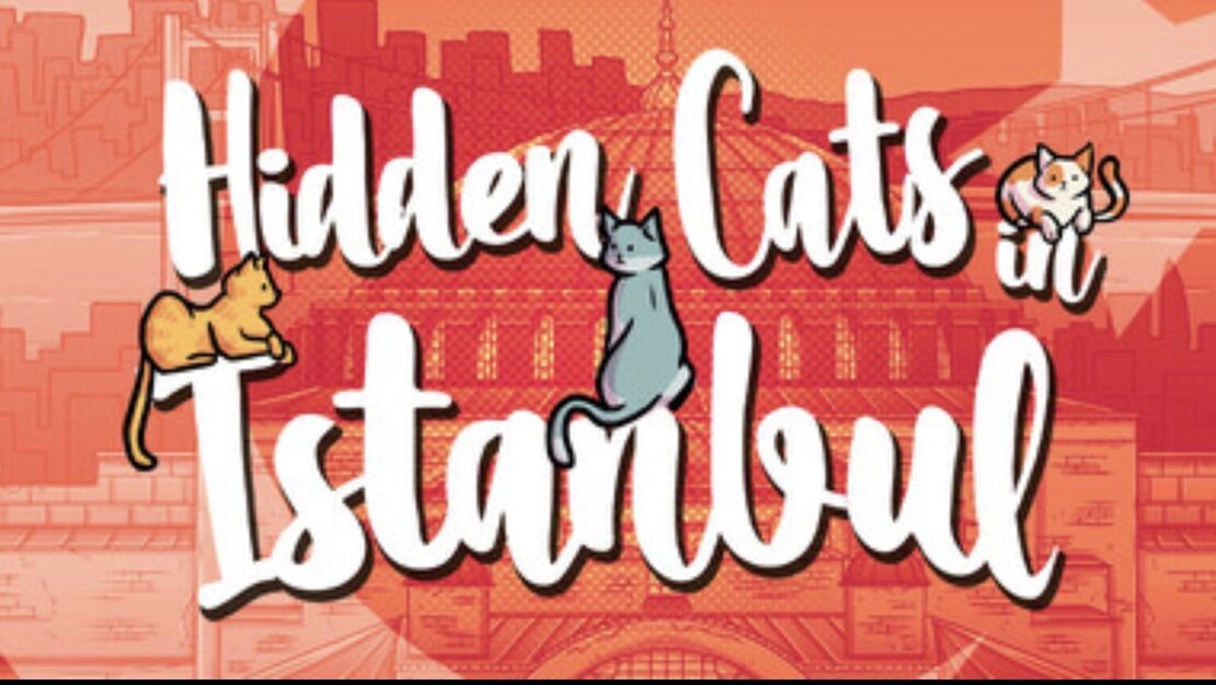 Hidden Cats in Istanbul header image